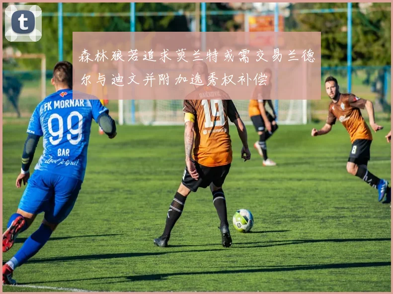森林狼若追求莫兰特或需交易兰德尔与迪文并附加选秀权补偿