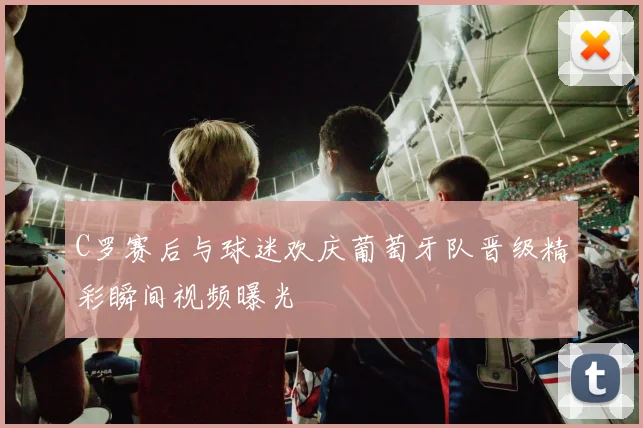 C罗赛后与球迷欢庆葡萄牙队晋级精彩瞬间视频曝光